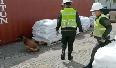 Decomiso de droga en el puerto de Cartagena. 