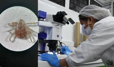 La profesora de Unisimón, María Auxiliadora Badillo.