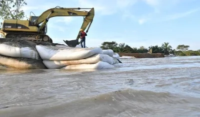 Imagen de los trabajos.
