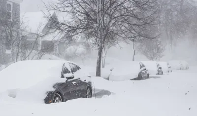 Imagen de referencia.