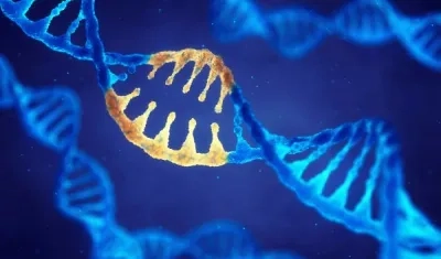 Imagen de referencia.