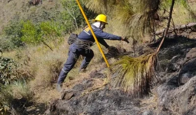 Bombero de Bello, en tareas de extinción del fuego.