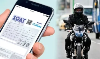 Imagen de referencia.