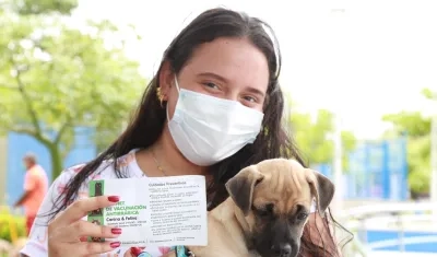 Imagen de referencia. 