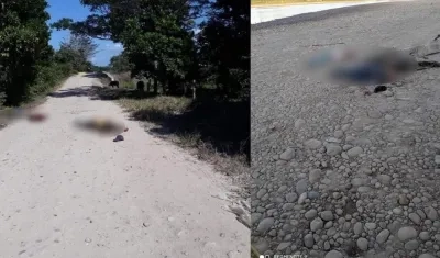 Enfrentamientos en diferentes zonas de Arauca.