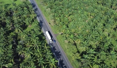 Un tramo de la vía entre San Onofre y Cruz del Viso.