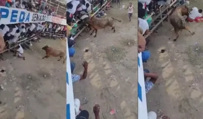 Imágenes de las cornadas.