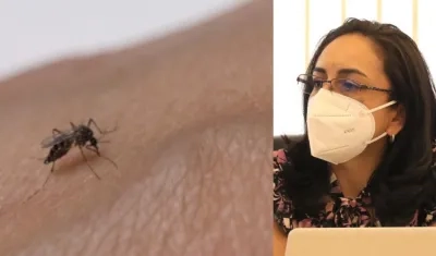 Claudia Cuéllar, subdirectora de Enfermedades Transmisibles del Ministerio de Salud.