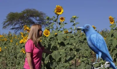 La Gobernadora del Atlántico, Elsa Noguera.