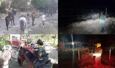 Imágenes de la campaña.