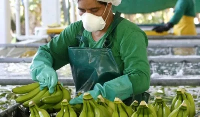 Los ministros de países productores en Latinoamérica acordaron invocar el concepto de "responsabilidad compartida".