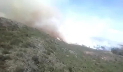 Grandes columnas de humo generadas por el incendio forestal.