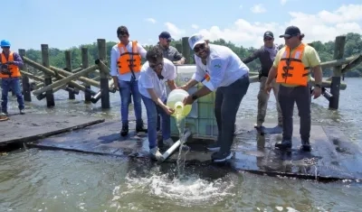 El alcalde Jaime Pumarejo y el director de la CRA, Jesús León, vierten microalgas a la ciénaga de Mallorquín.