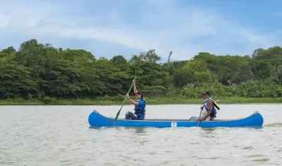 Imagen de referencia.