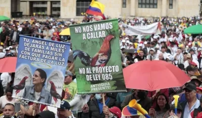 Personas protestando. 