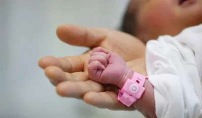 Imagen de referencia.