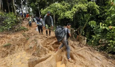 Imagen de referencia.