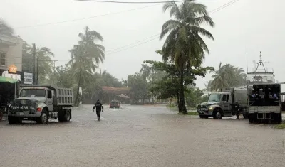 Imagen de referencia.