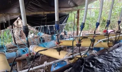 Parte de las 71 construcciones rústicas de grupos de narcotraficantes.