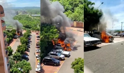 Incendio en Parque 100. 