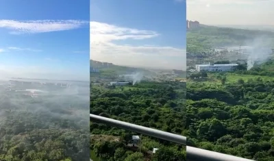 Imágenes de las quemas esta tarde.