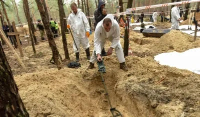 Imagen de los hallazgos.