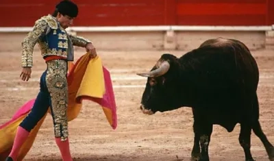 Imagen de referencia.