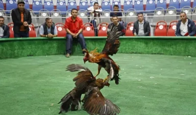 Imagen de referencia.