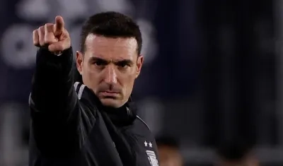 Lionel Scaloni, entrenador de Argentina. 