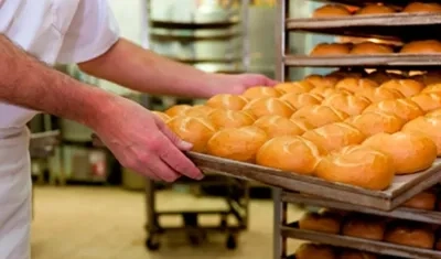 Imagen de referencia