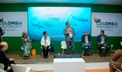 El Presidente de la República, Gustavo Petro.