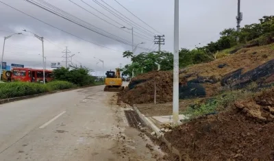 Imagen de los trabajos.