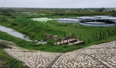 Distrito de Drenaje de Manatí visto desde las compuertas de Puente Militar.