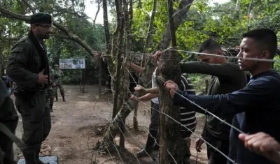 Imagen de referencia