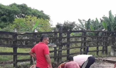 Empleados observan el ganado descuartizado  por los delincuentes.