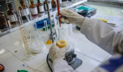 Imagen de referencia.