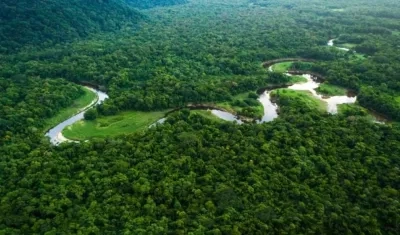 Imagen de referencia.