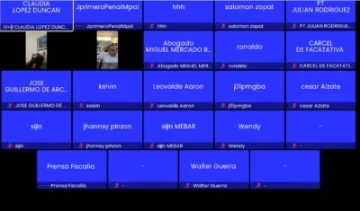 Aspecto de la audiencia virtual. 