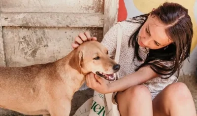 Imagen de referencia.