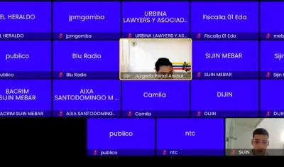 Imagen de la audiencia virtual.
