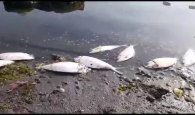 Imagen de referencia.