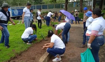 Imagen de las prácticas.