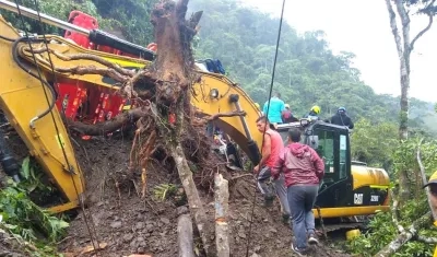 Maquinaria pesada trabajando en la remoción de tierra.