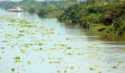 Imagen de referencia.