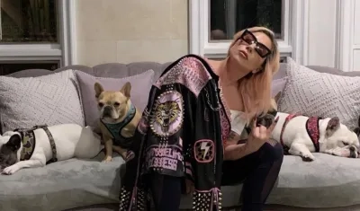 Lady Gaga con sus perros.