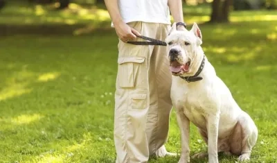 Imagen de referencia.