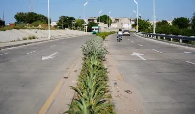 Imagen del corredor vial.