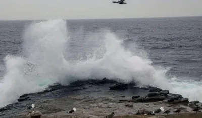 Imagen de referencia