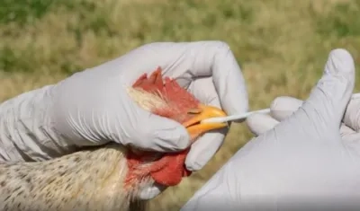 Imagen de referencia.