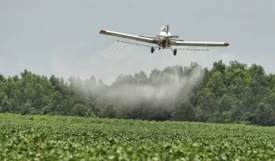 Imagen de referencia.